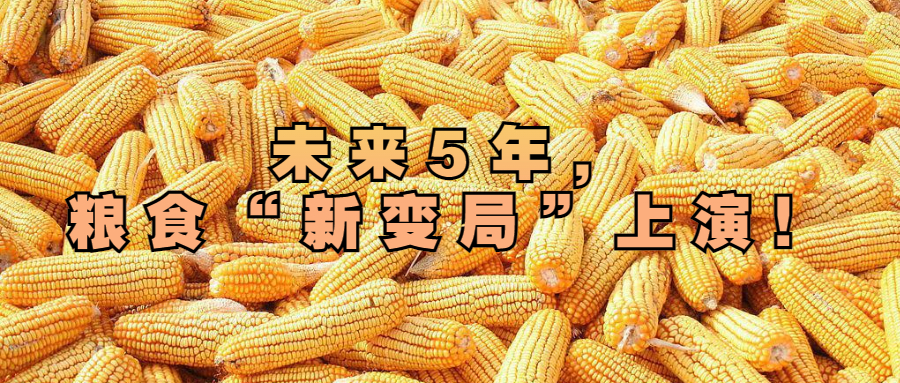 未來5年，糧食“新變局”上演！